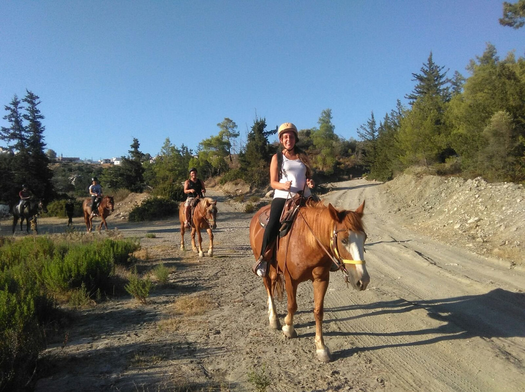 A&E Elpida Ranch-罗德城必去景点