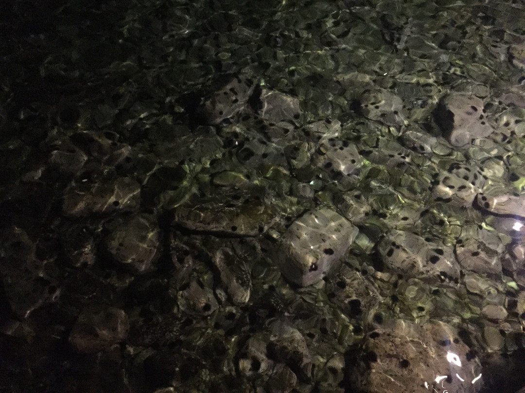 The Piano Bar-米克诺斯镇必去景点