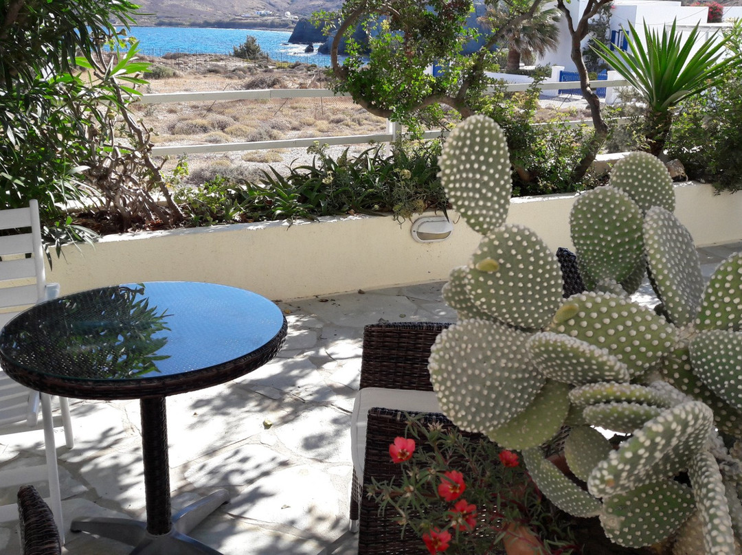 Papafragas Studios主图