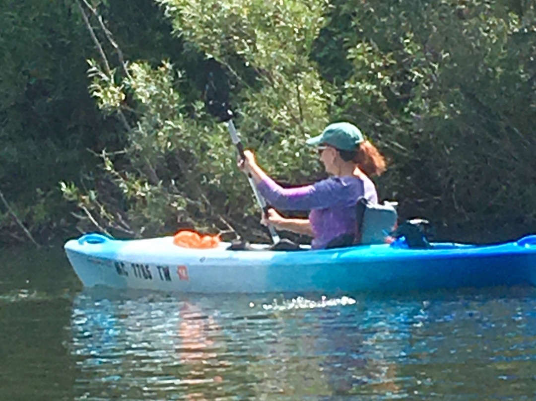 Pentwater Outfitters-Pentwater必去景点