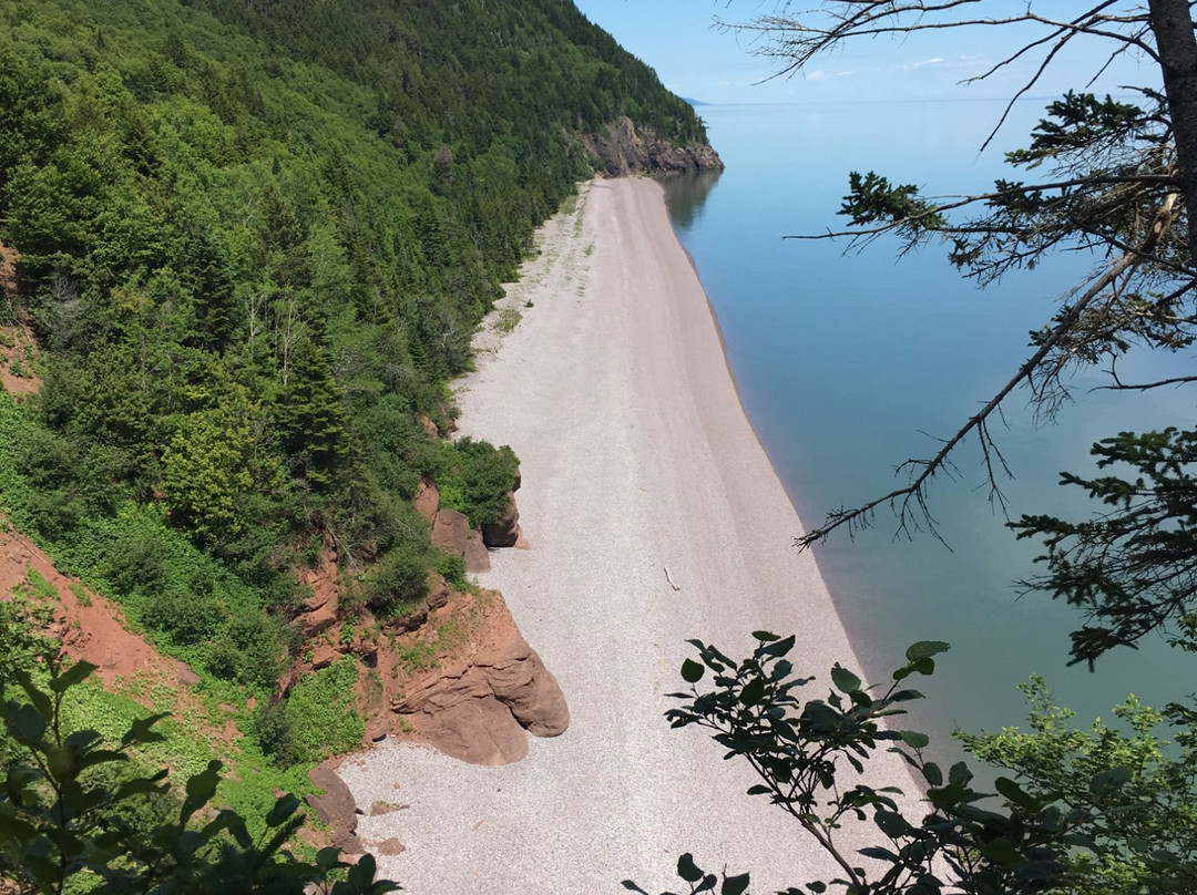 Tim Tours-圣约翰必去景点