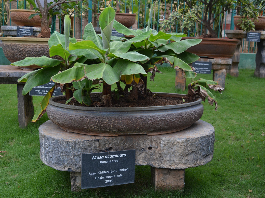 Avadhoota Datta Peetham-迈索尔必去景点