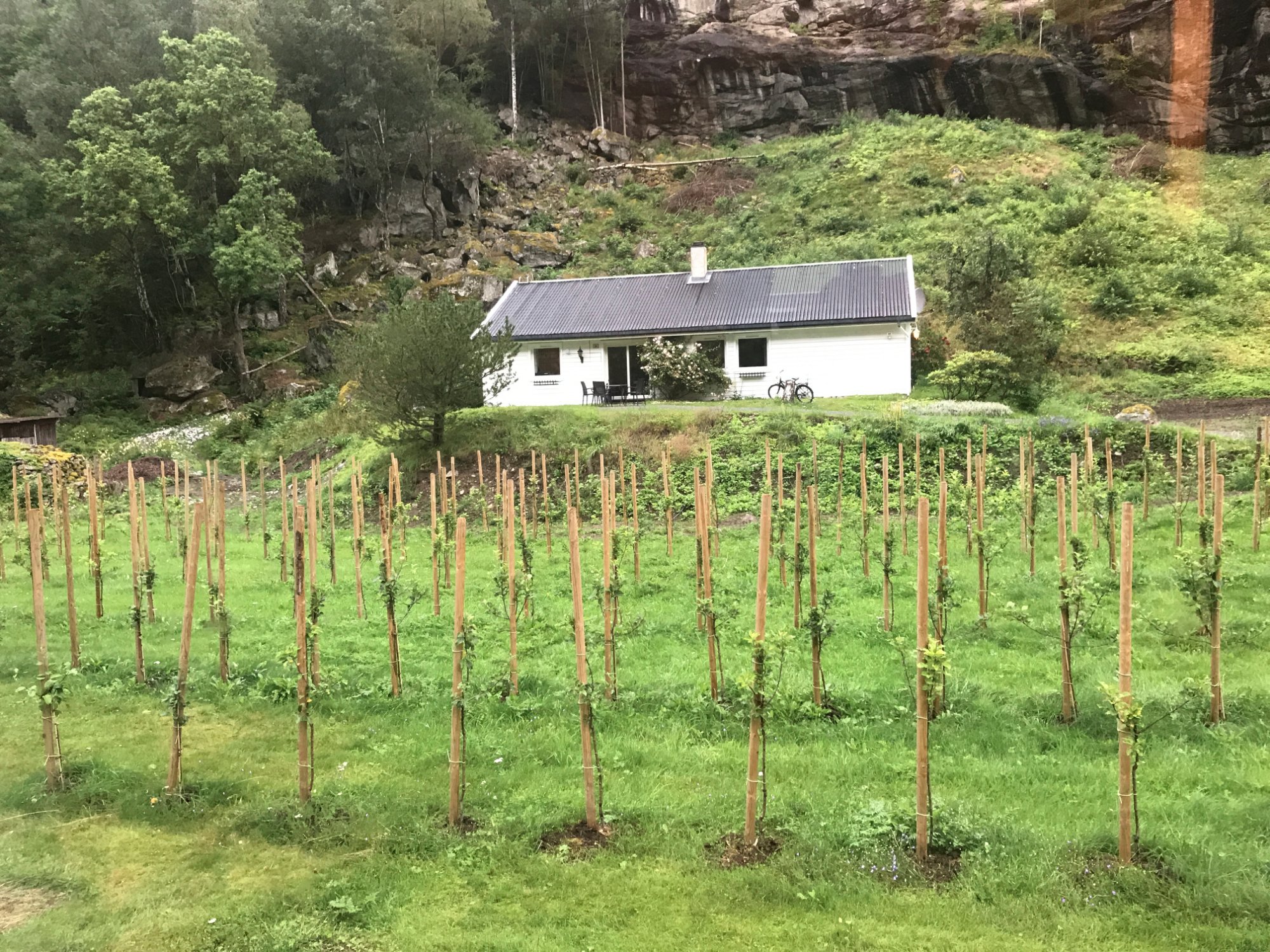 Aurland Apple Farm-浴室