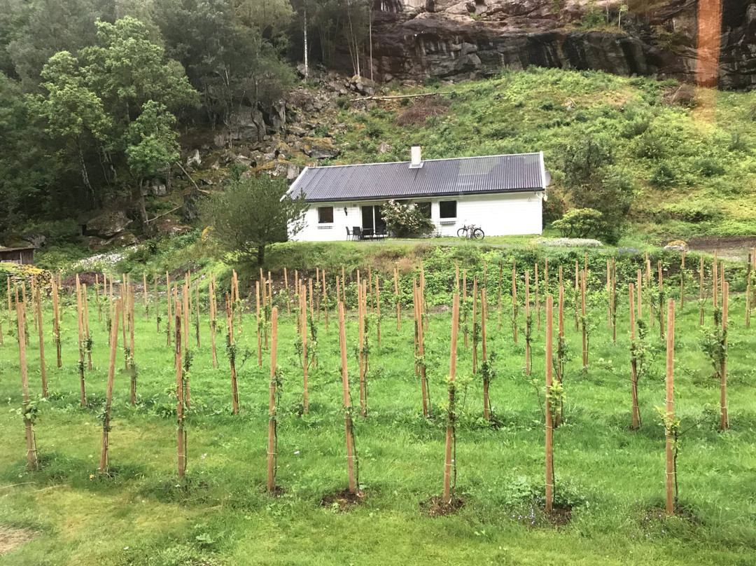 Aurland Apple Farm主图