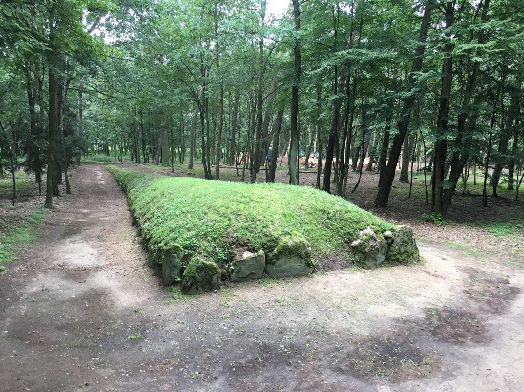 Megaliths Kujawskie Cultural Park in Wietrzychowice景点图片
