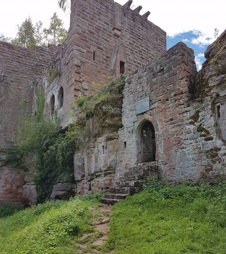 Chateau du Wasenbourg景点图片