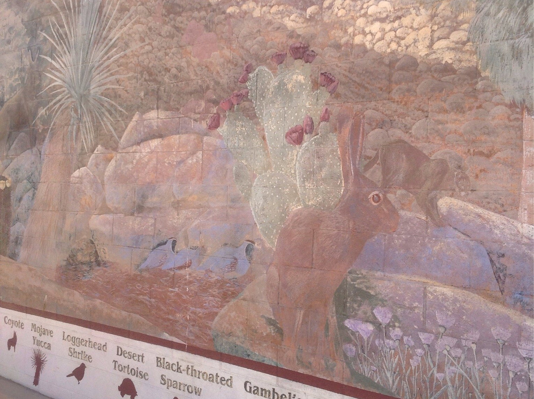 Twentynine Palms Chamber of Commerce-二十九棕榈村必去景点