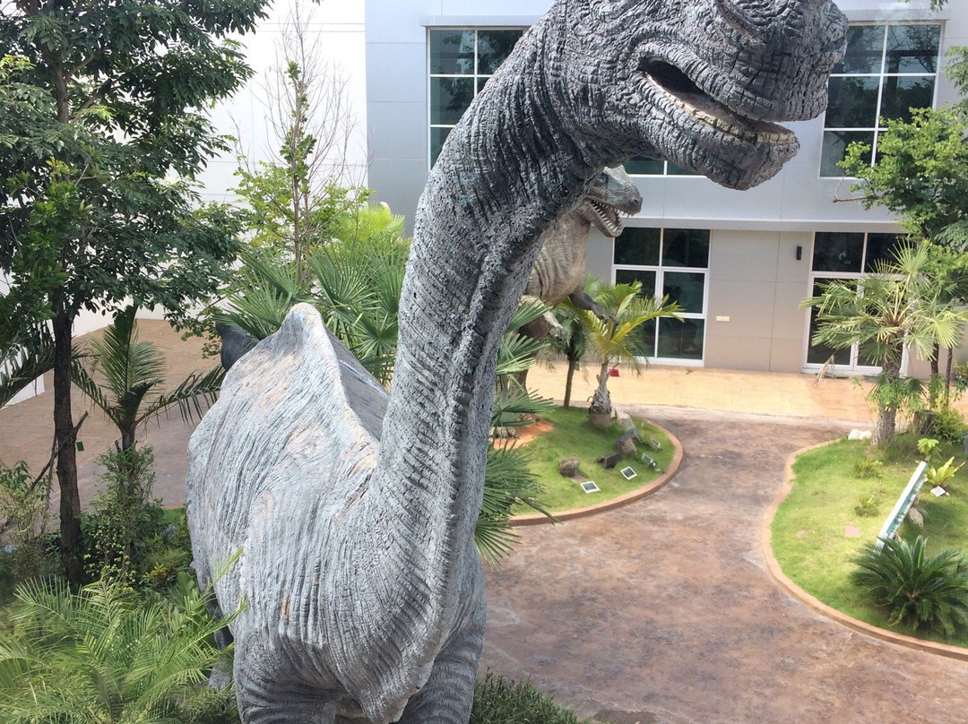 Natural History Museum景点图片
