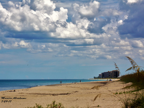 Avalon Beach Park-匹尔斯堡必去景点