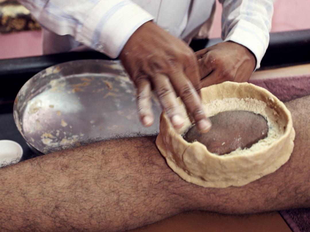 Pushkar Ayurveda景点图片