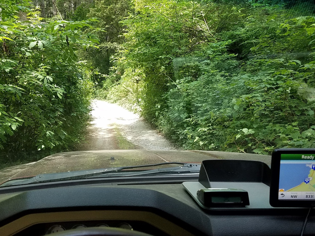 Oregon Redwood Trail-布鲁金斯必去景点