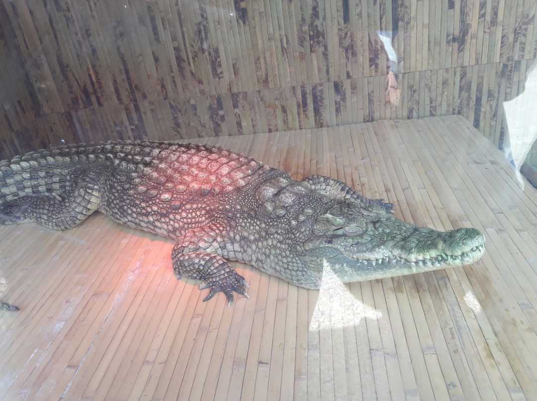 Medenychi旅游攻略图片