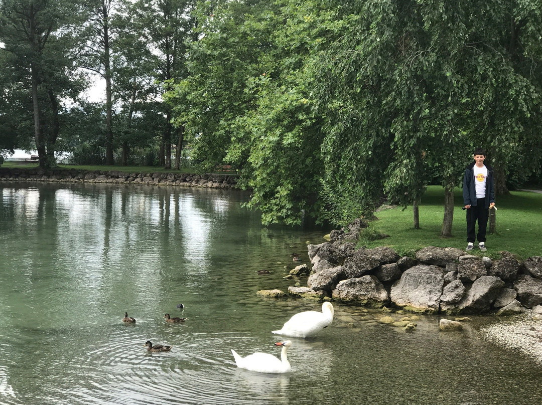 Bad Hirsgarten-Cham必去景点