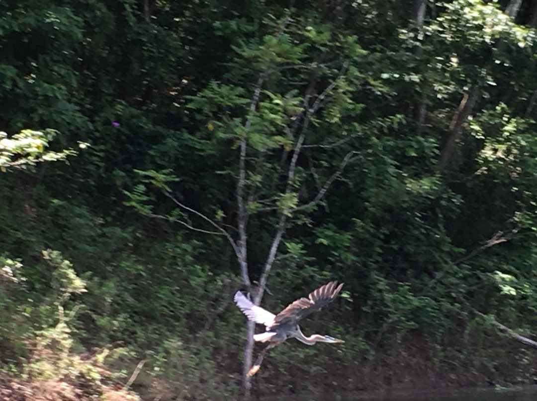 Riverview Outfitters-尤里卡斯普林斯必去景点