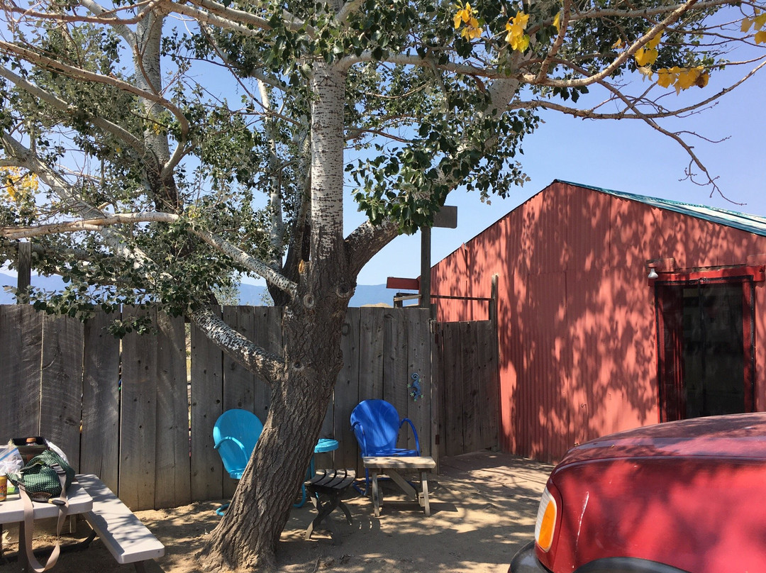 Desert Reef Hot Spring-Florence必去景点