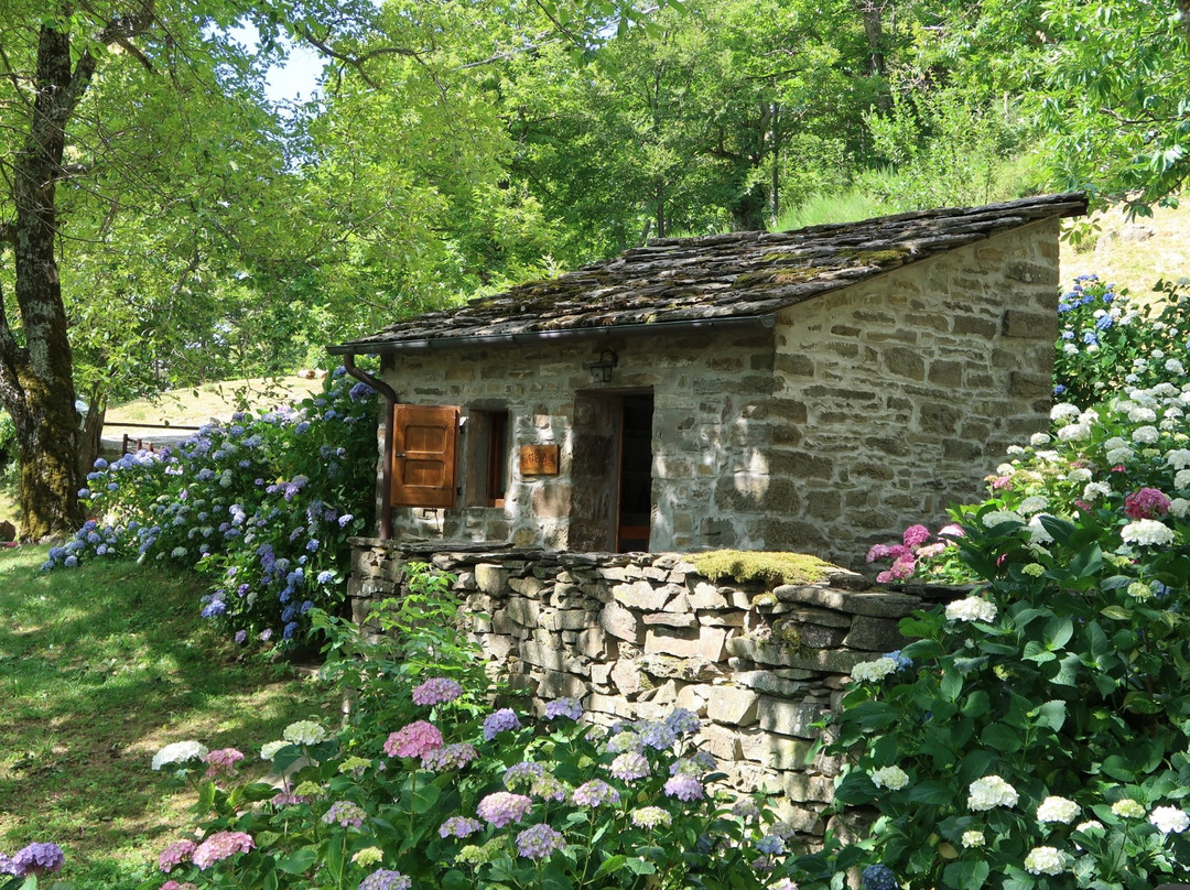 Borgo di Tresana景点图片