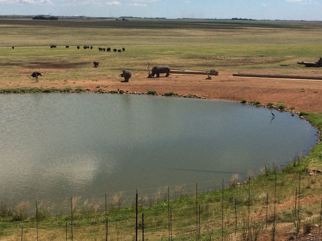 Zastron餐馆和美食-Alzu Petroport