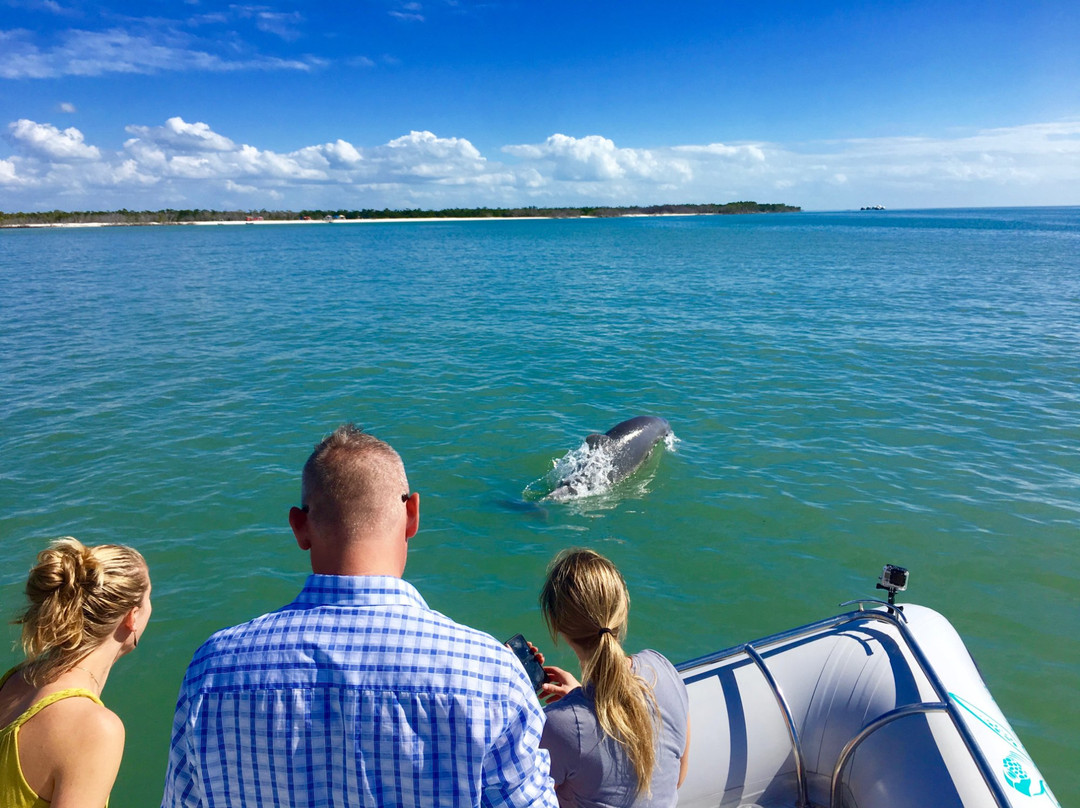 Eco Endeavors-Goodland必去景点