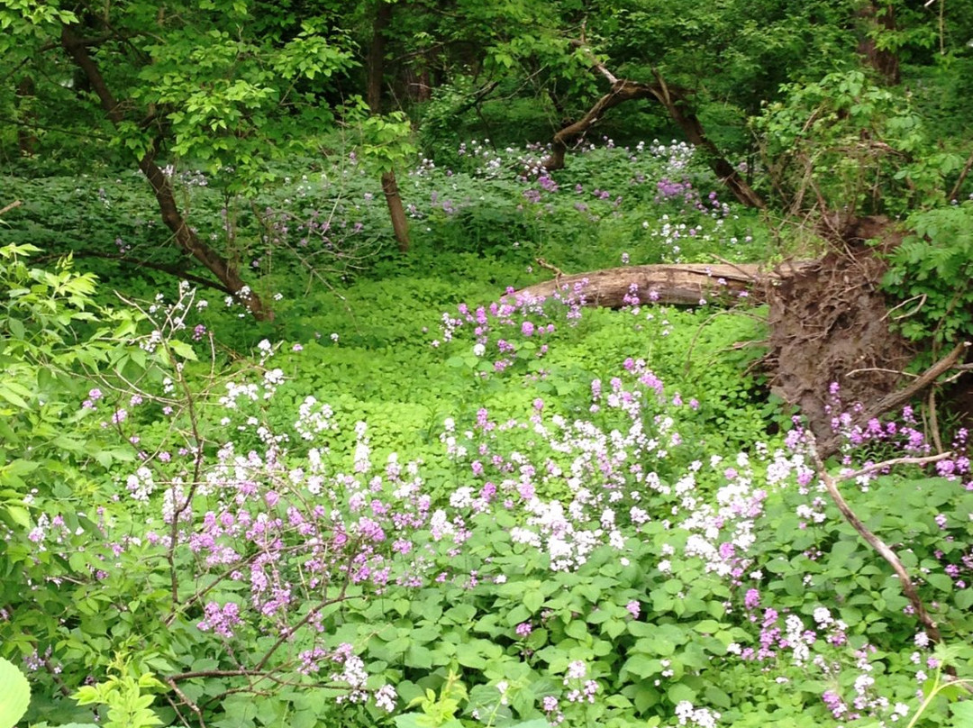 Vischer Ferry Nature & Historic Preserve景点图片