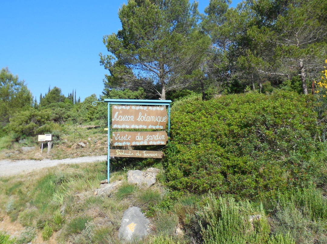 Maison Botanique景点图片