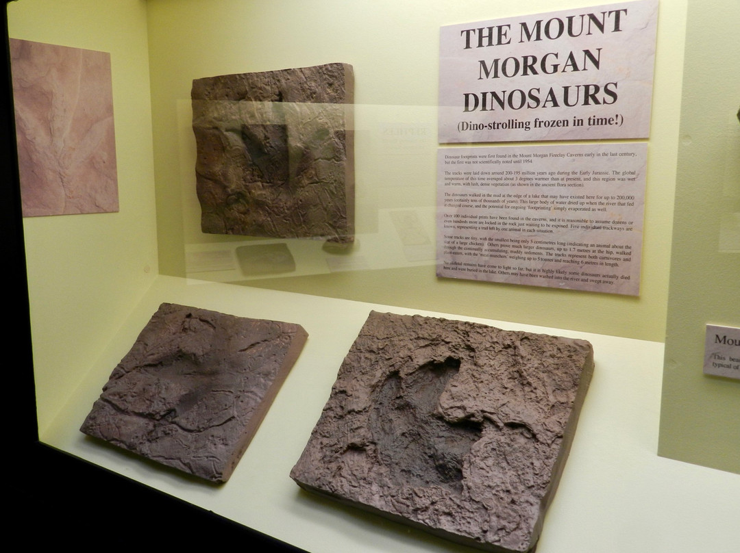 Mount Morgan Goldmine-Mount Morgan必去景点