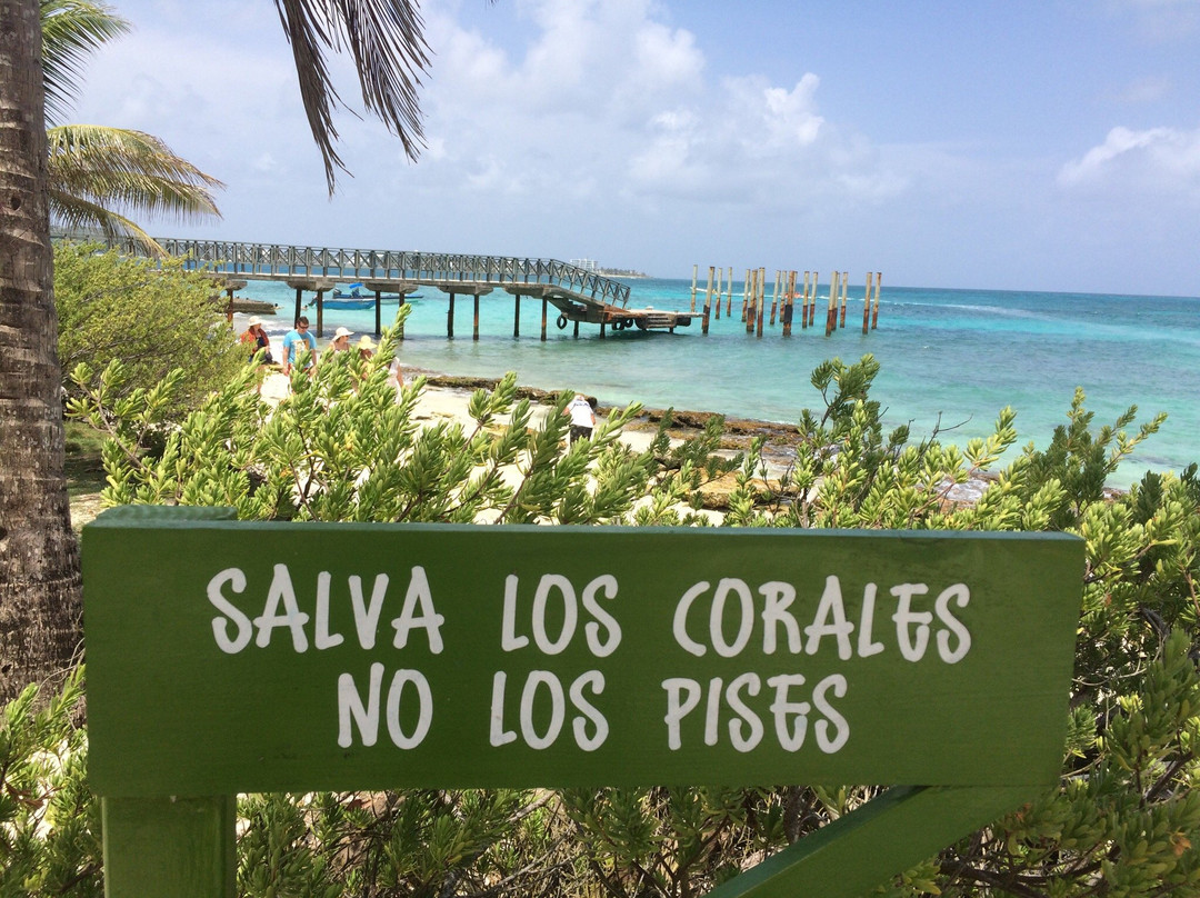 Jet Boat-圣安德烈斯岛必去景点