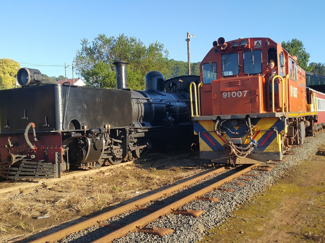 The Paton Express-Ixopo必去景点