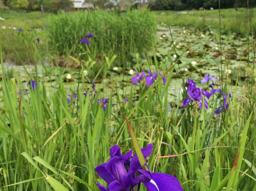 Dragonfly Nature Park-四万十市必去景点