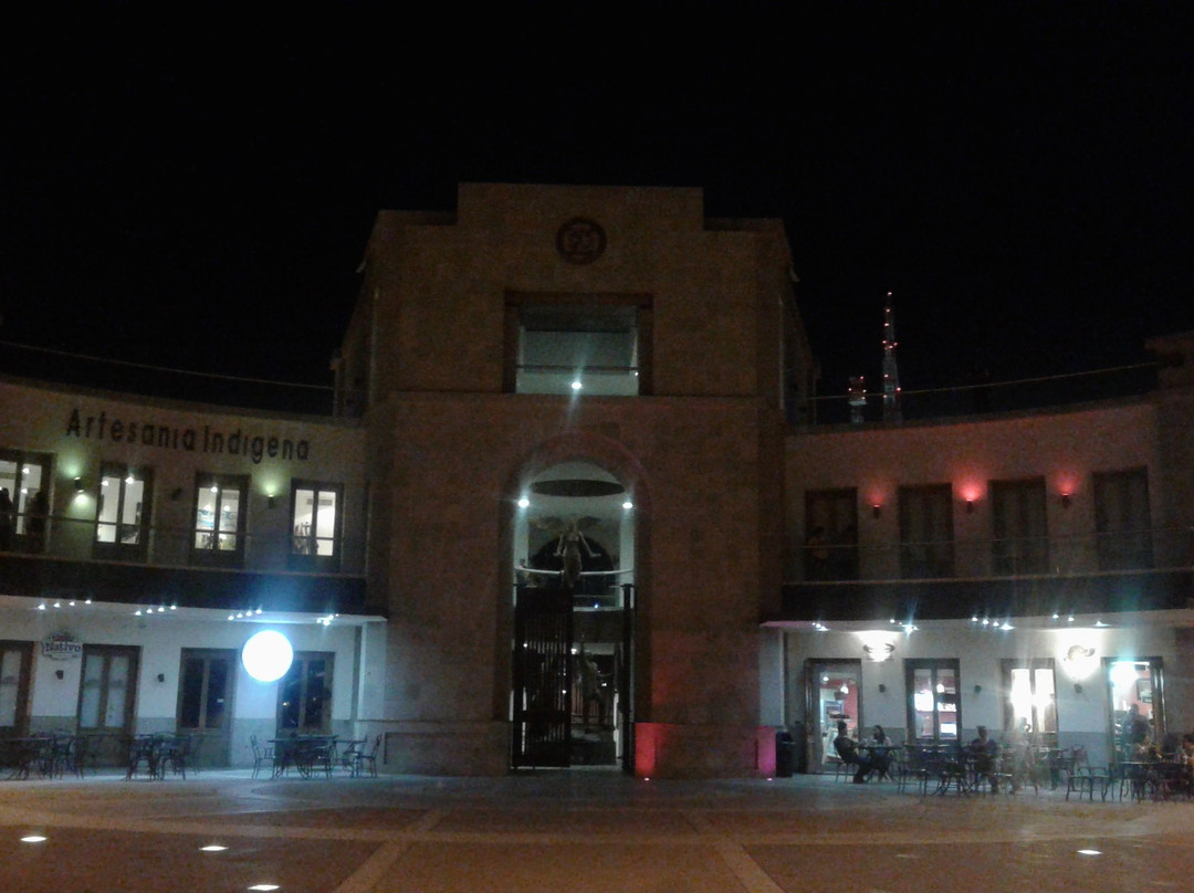 Plaza Bicentenario-埃莫西约必去景点