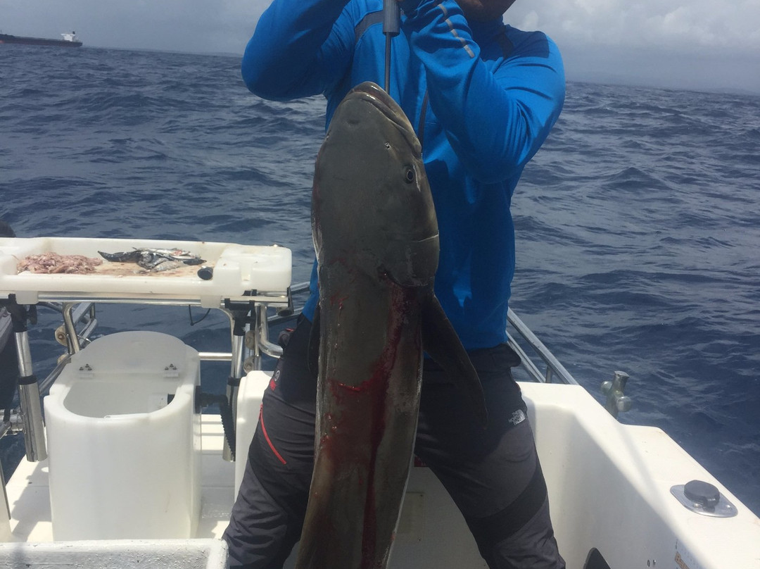 Sunny Coast Fishing景点图片
