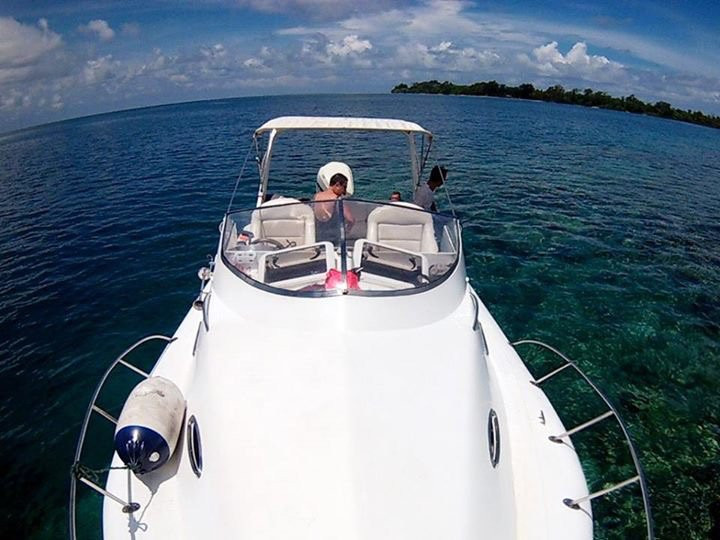 Dolphin Karimunjawa-卡里蒙加瓦必去景点