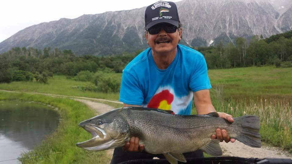 Harcourt Fly Fishing 3G-New Castle必去景点