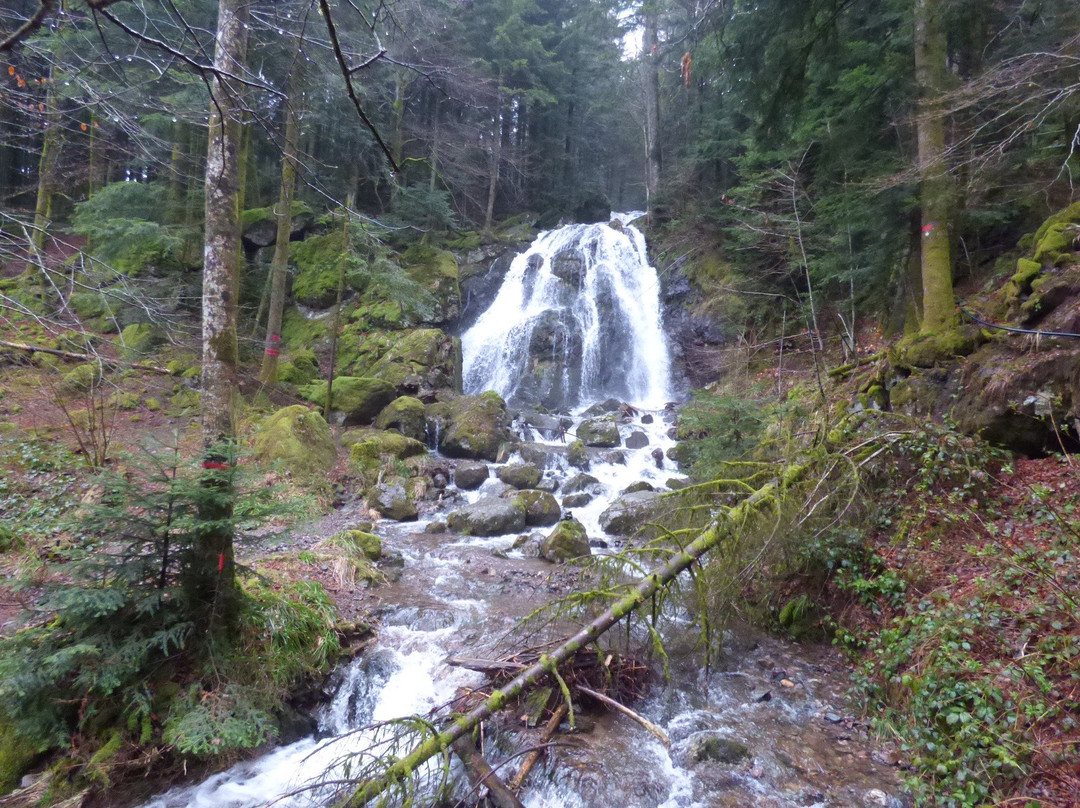 Sentier De La Goutte Des Saules-Plancher-les-Mines必去景点
