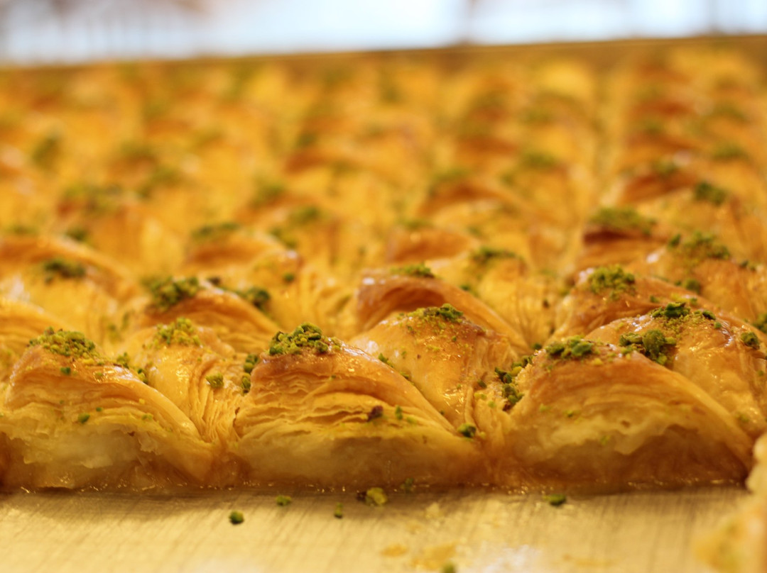 Gil Lahav Tours-特拉维夫必去景点