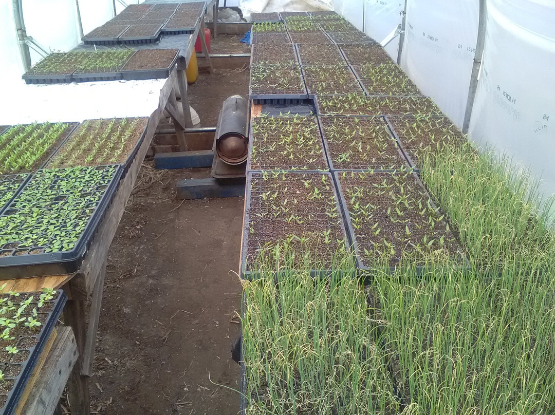 Matt's Produce-拉辛必去景点