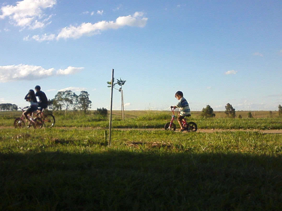 Parque Ecologico Municipal Jayme Nogueira Miranda景点图片