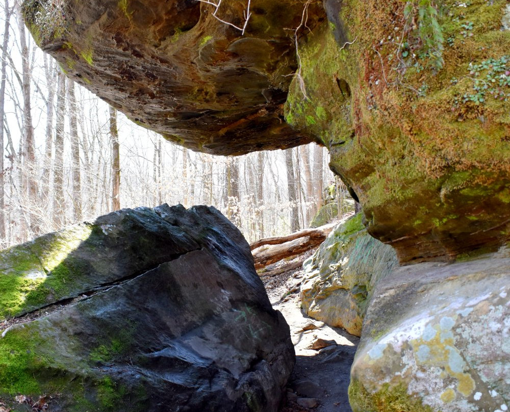 Shanty Hollow Lake Hiking Trail-鲍灵格林必去景点