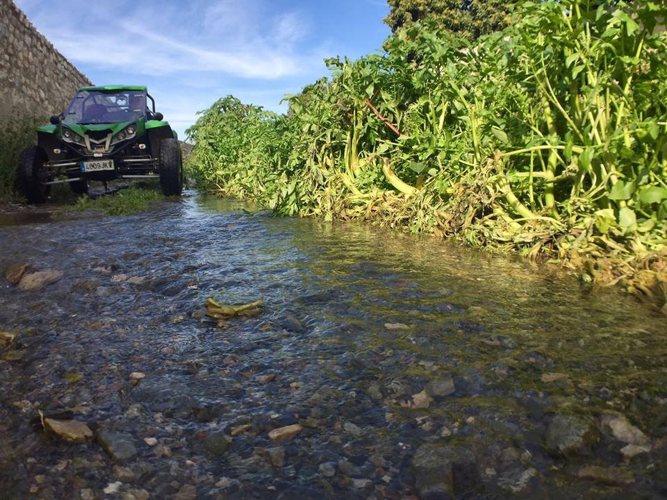 Buggy Buggy Tours-拉埃拉杜拉必去景点