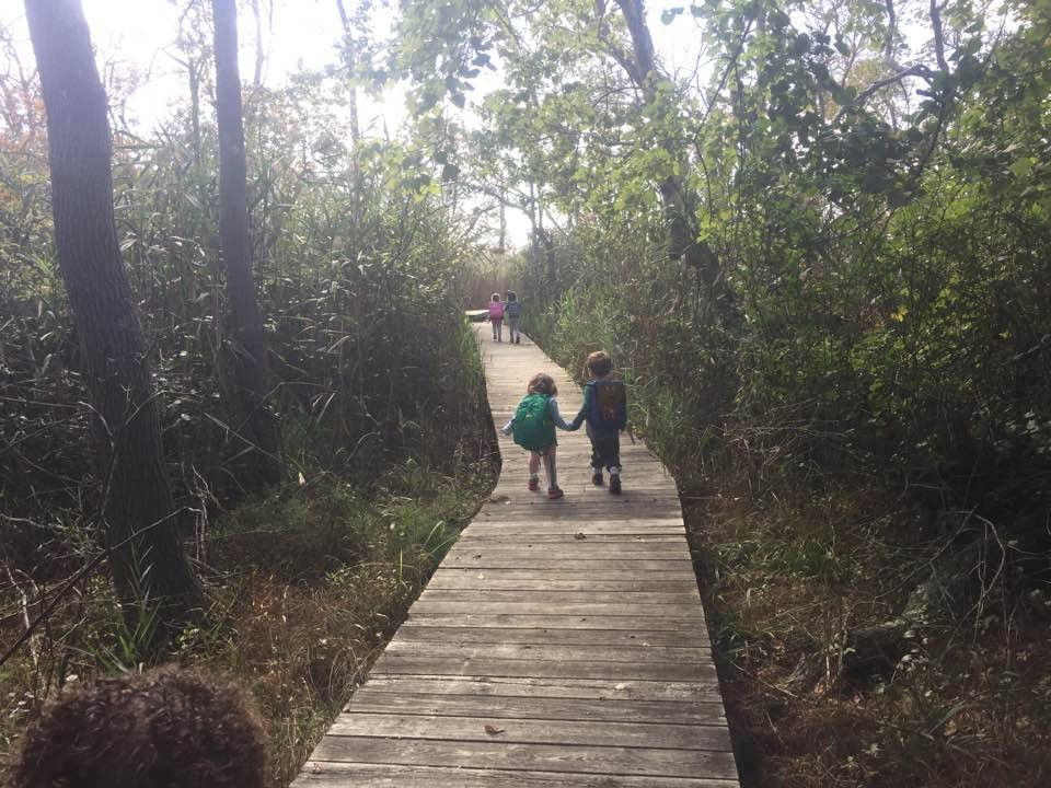 South Shore Nature Center-East Islip必去景点