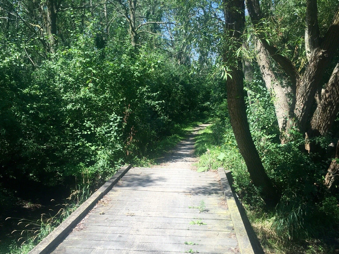 Dofasco 2000 Trail景点图片