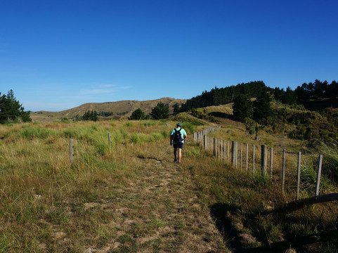 Mount Auckland Atuanui Walkway-奥克兰中心地区必去景点