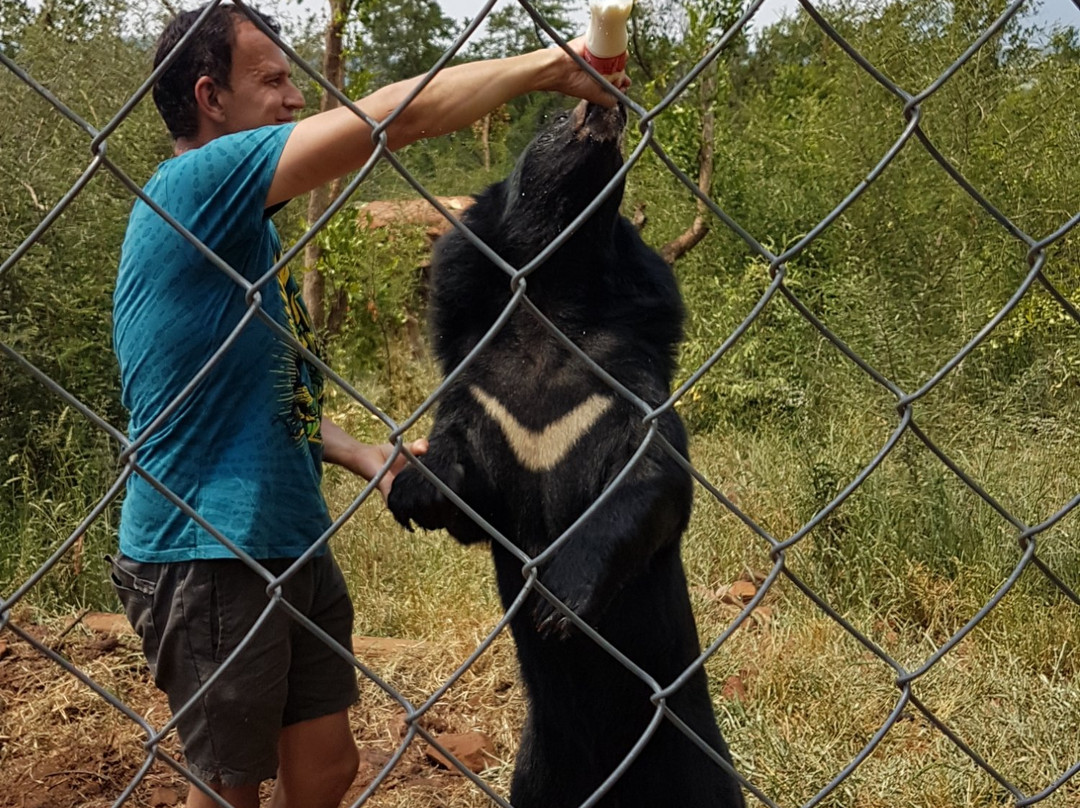 MBIDI Resort & Animal Sanctuary-米德尔堡必去景点