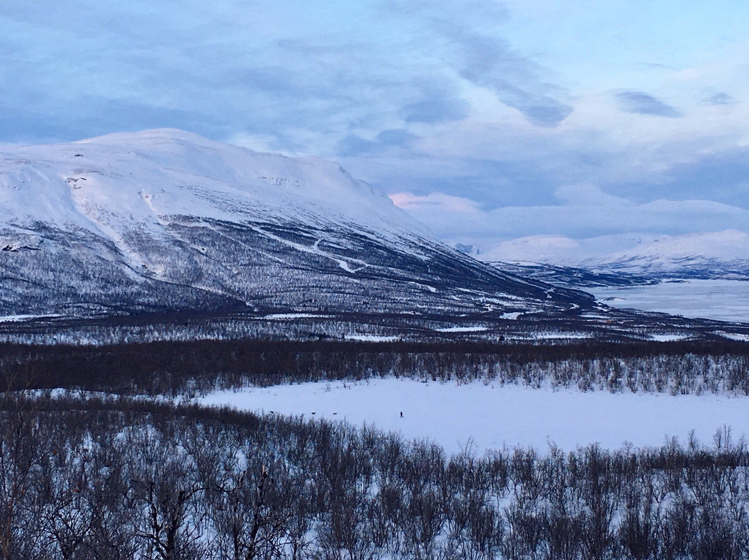 Abisko Guide - Day Tours-阿比斯库必去景点