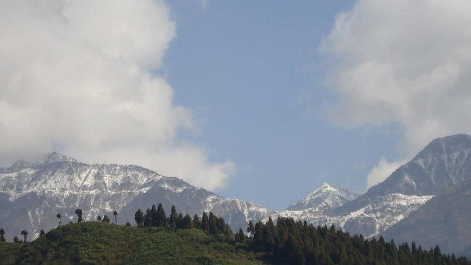 Chalet Orchid Eco Retreat主图