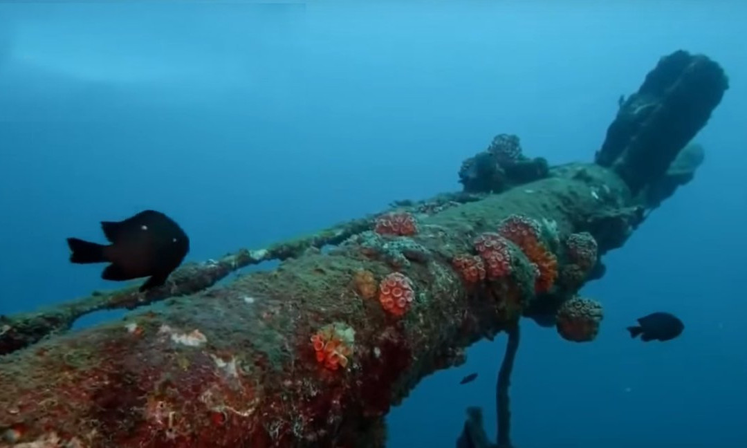 Seerendipity Tours and Travels - Day Tours-Panadura必去景点