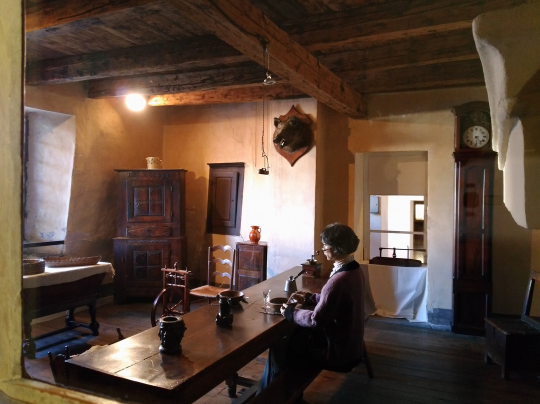 Musee d'Art et d'Histoire d'Albertville景点图片