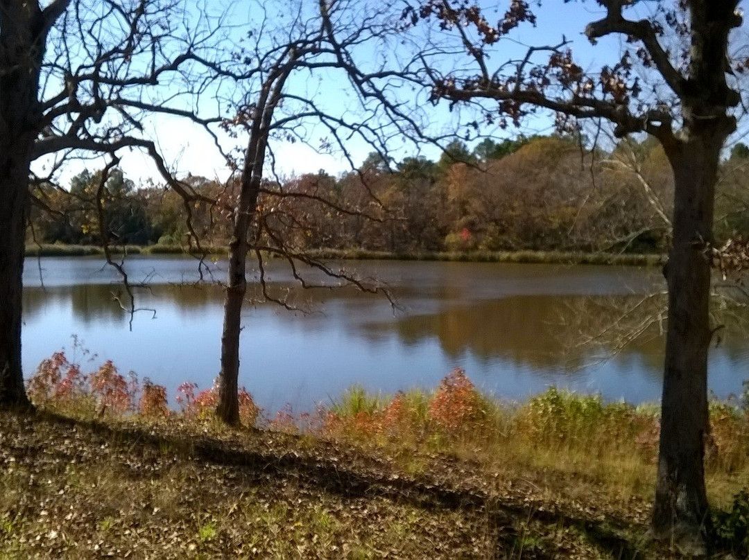 Wolf Creek Lake-Palestine必去景点