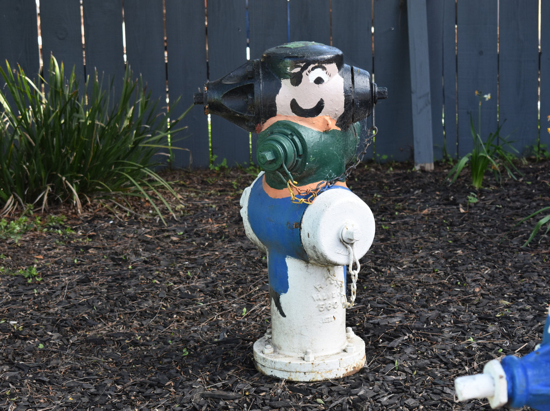 Fire Hydrant Plug Preserve-布里斯班必去景点