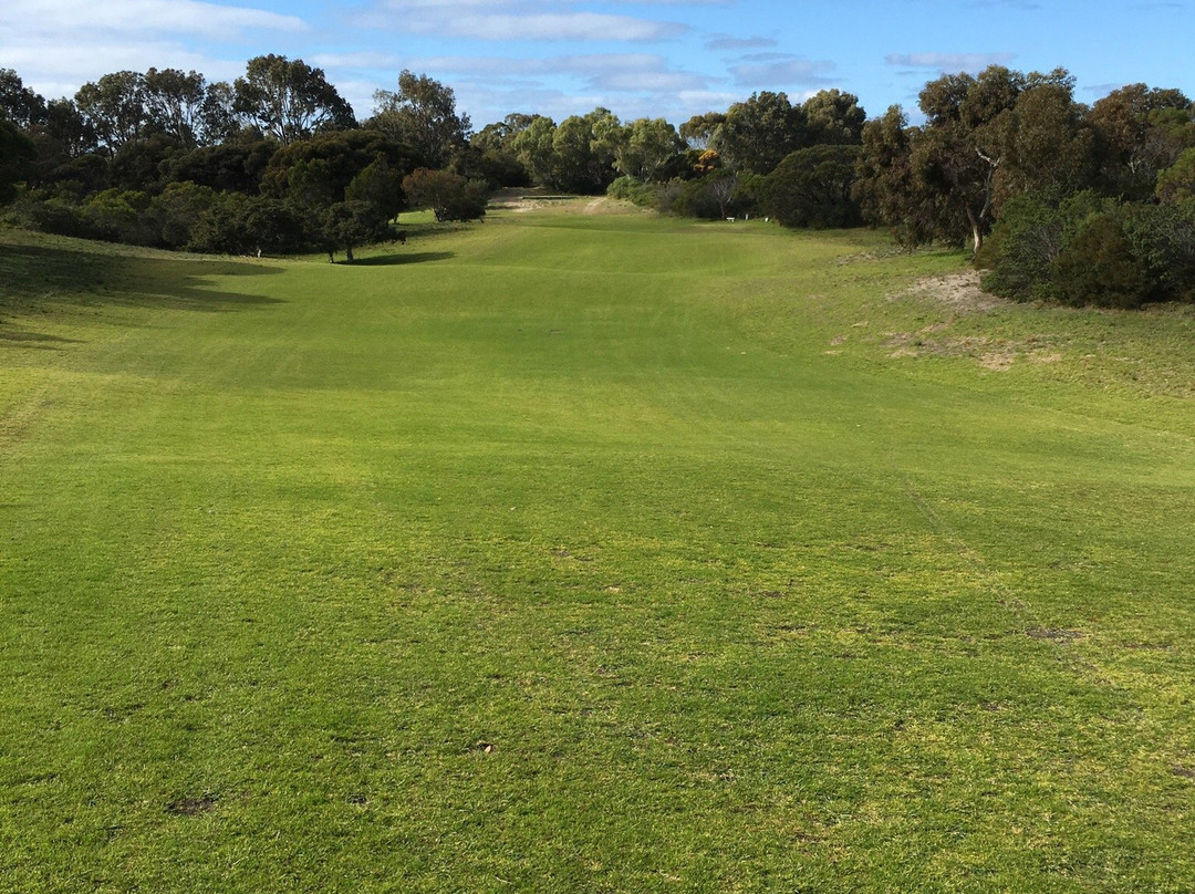 Pink Lake Golf-埃斯佩兰斯必去景点