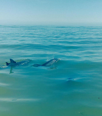 Action Water Sports-迈尔斯堡海滩必去景点